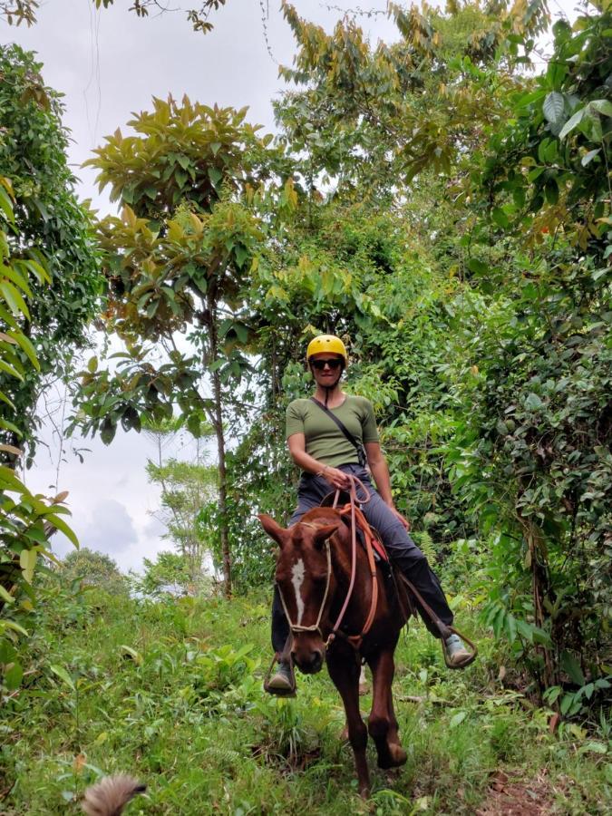 Finca Tres Equis - Farm And Forest Экстерьер фото
