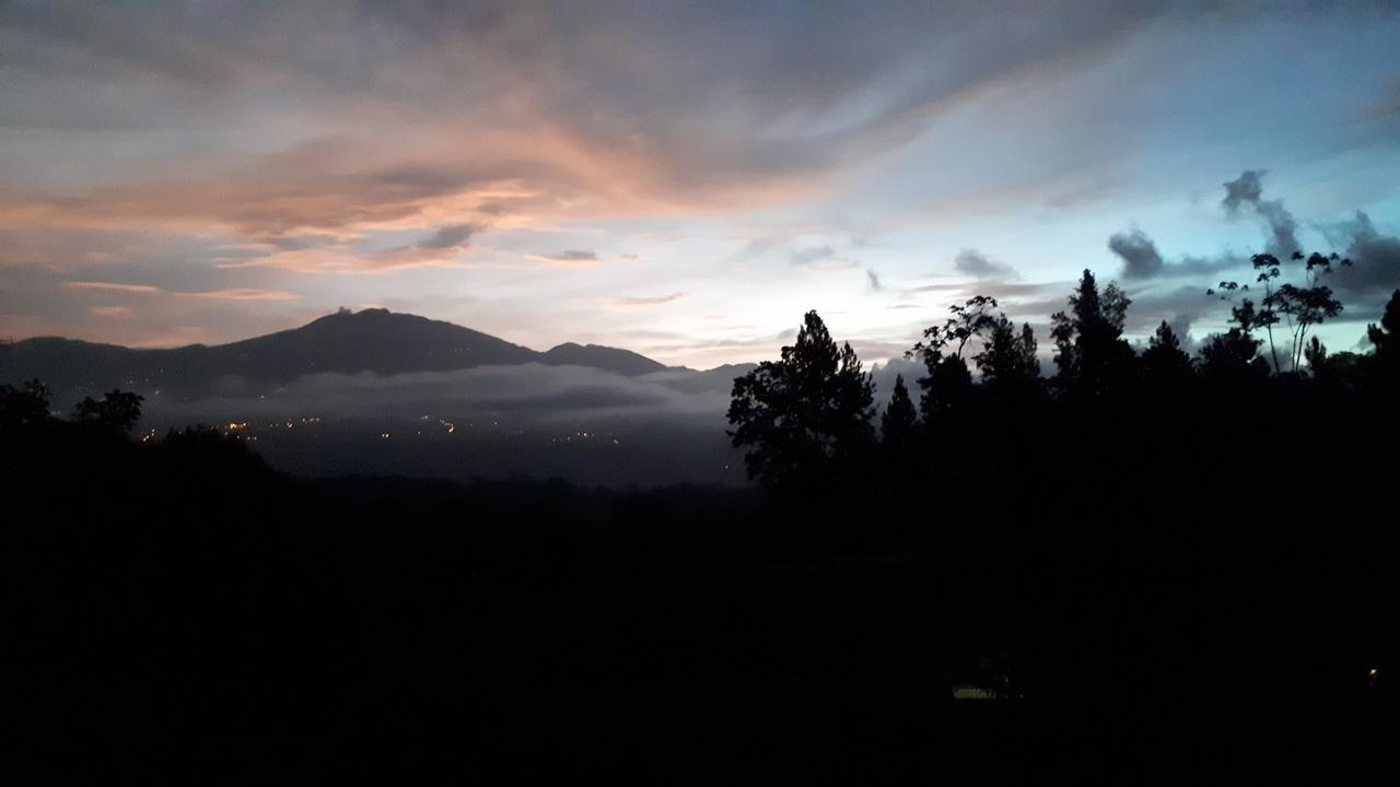 Finca Tres Equis - Farm And Forest Экстерьер фото