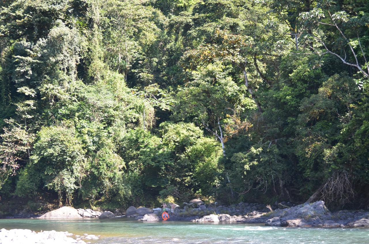 Finca Tres Equis - Farm And Forest Экстерьер фото