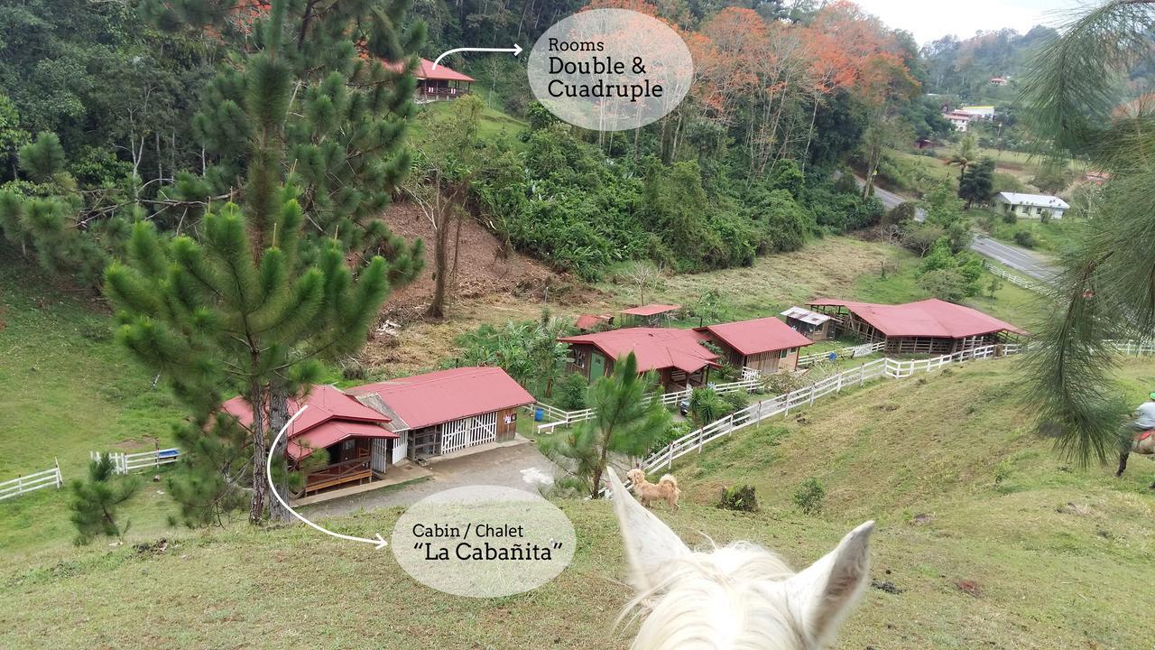 Finca Tres Equis - Farm And Forest Экстерьер фото